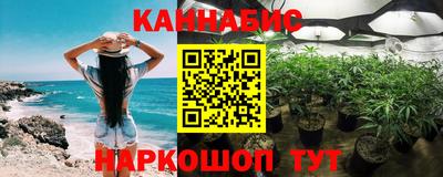 крисы Кимры