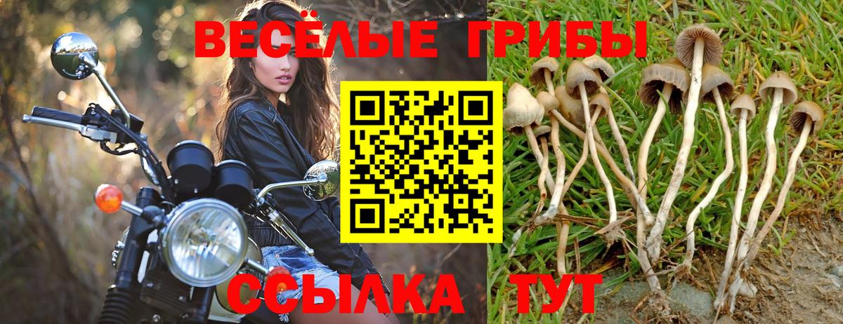 Галлюциногенные грибы MAGIC MUSHROOMS Котельники