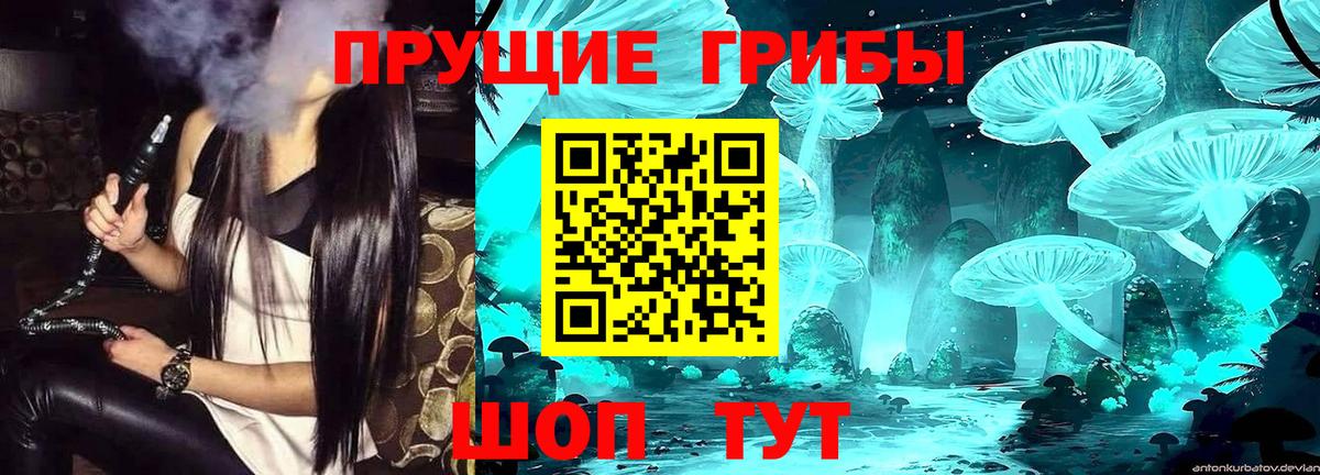 Галлюциногенные грибы Psilocybe  Вход с VPN  Котельники 